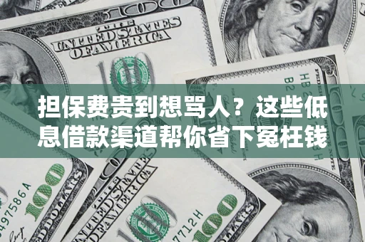 济南担保费贵到想骂人？这些低息借款渠道帮你省下冤枉钱