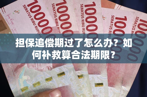 济南担保追偿期过了怎么办？如何补救算合法期限？