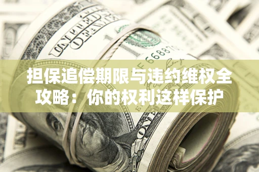 济南担保追偿期限与违约维权全攻略：你的权利这样保护